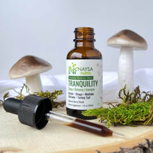 Load image into Gallery viewer, Tranquility Mushroom Extract Drops