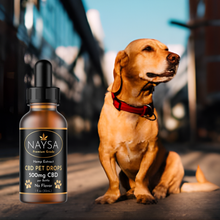 Load image into Gallery viewer, CBD Pet Drops
